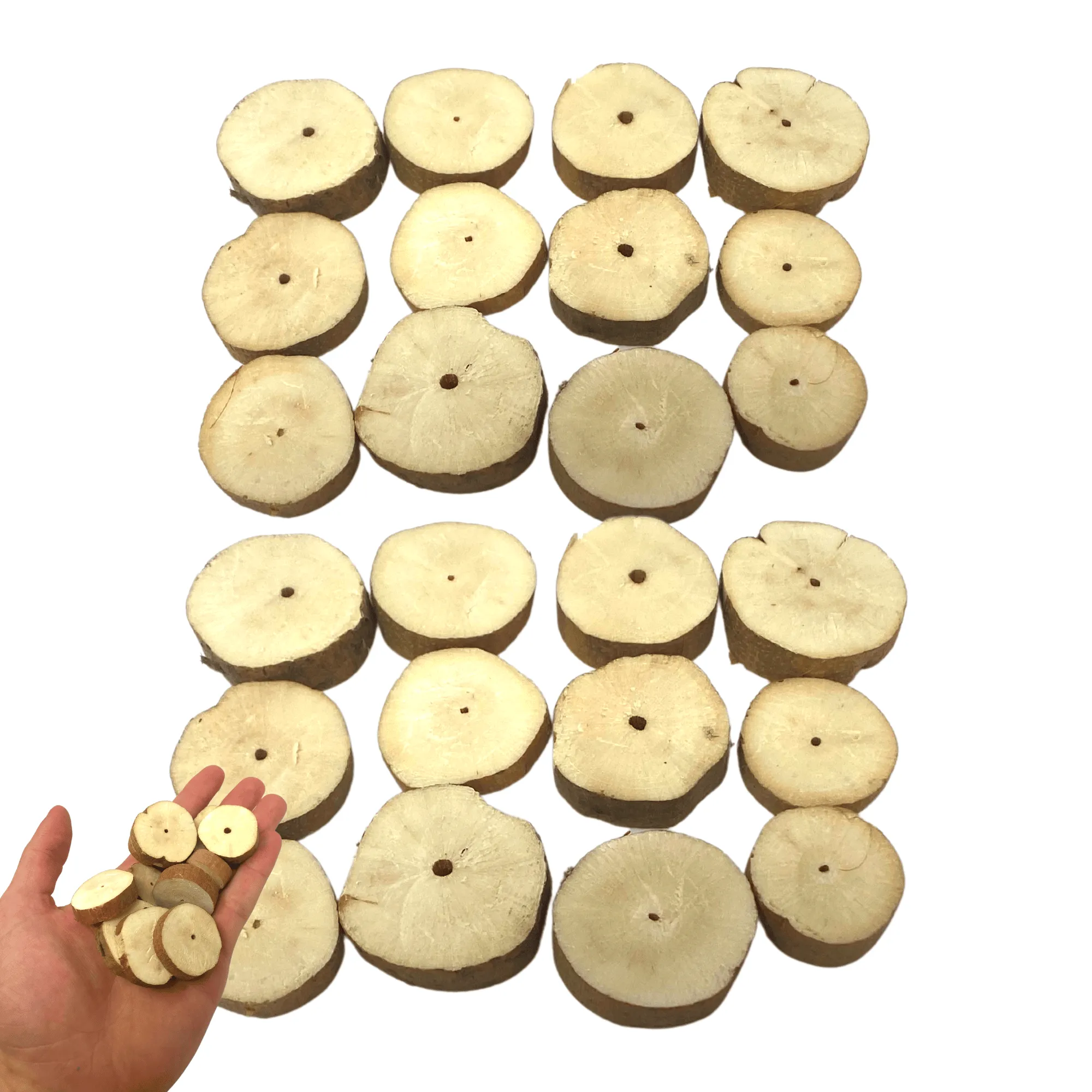 2937 Pk24 Sola Chips with Bark