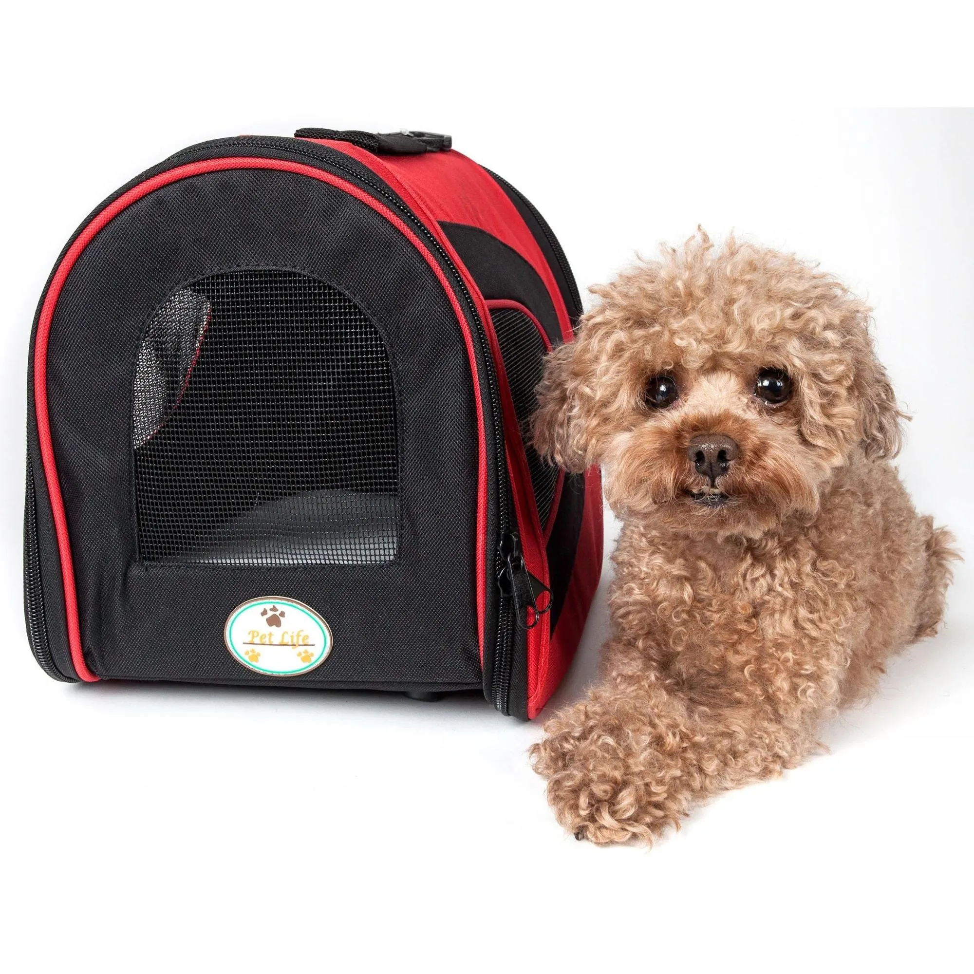 Airline-approved folding pet carrier with adjustable strap. Explorer
