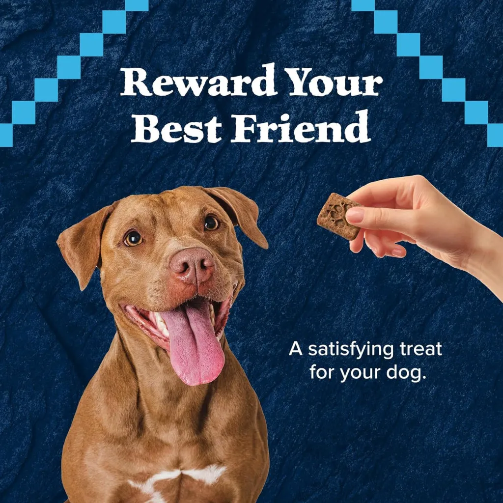 Blue Buffalo Wilderness Trail Treats Turkey Biscuits for Dogs