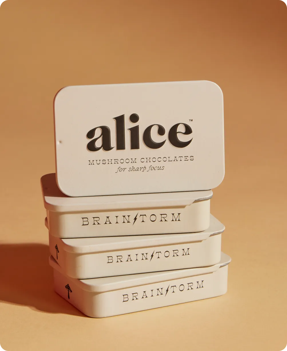 Brainstorm - Mushroom Chocolates for Focus