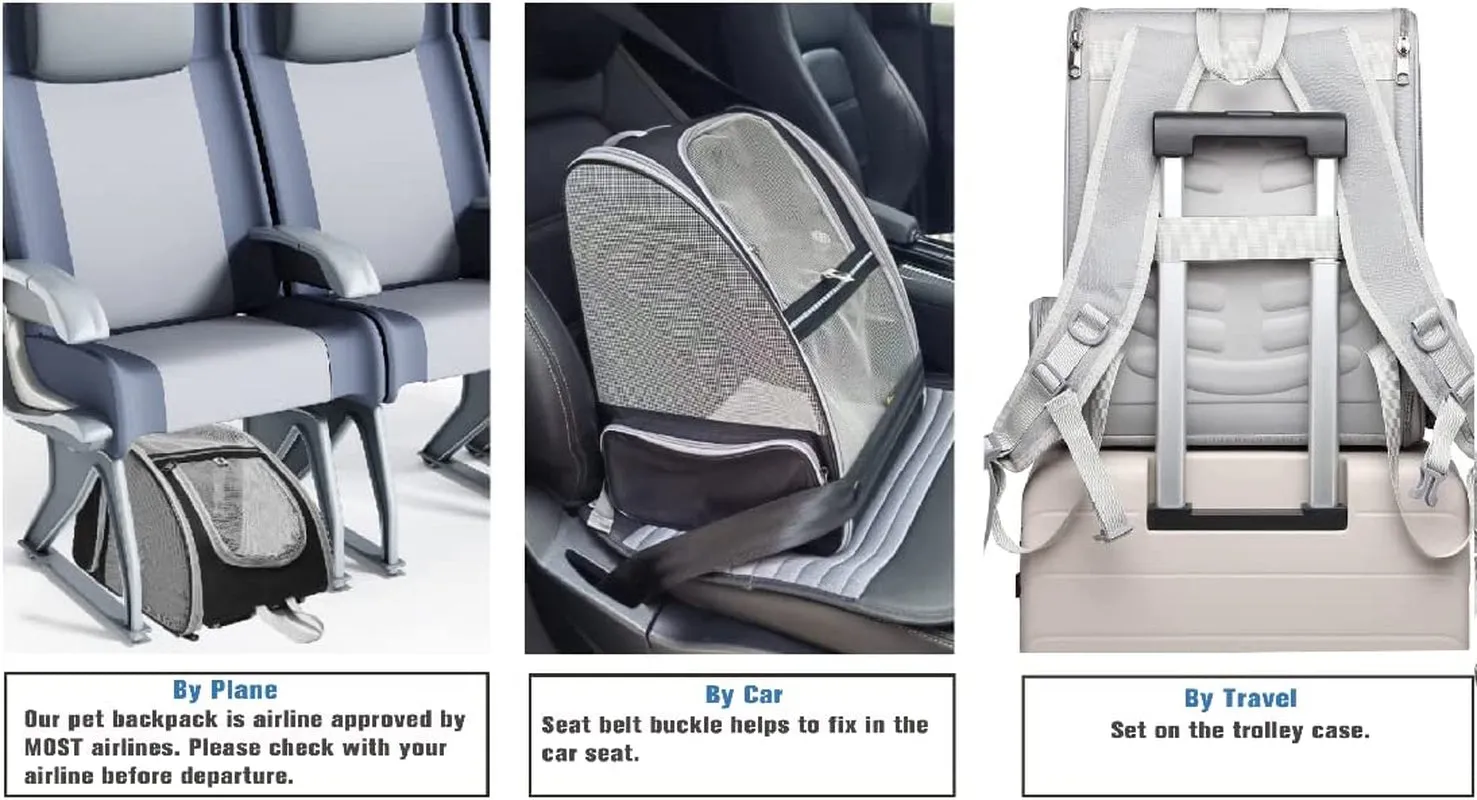 Bubble Backpack Pet Carriers for Cats and Dogs