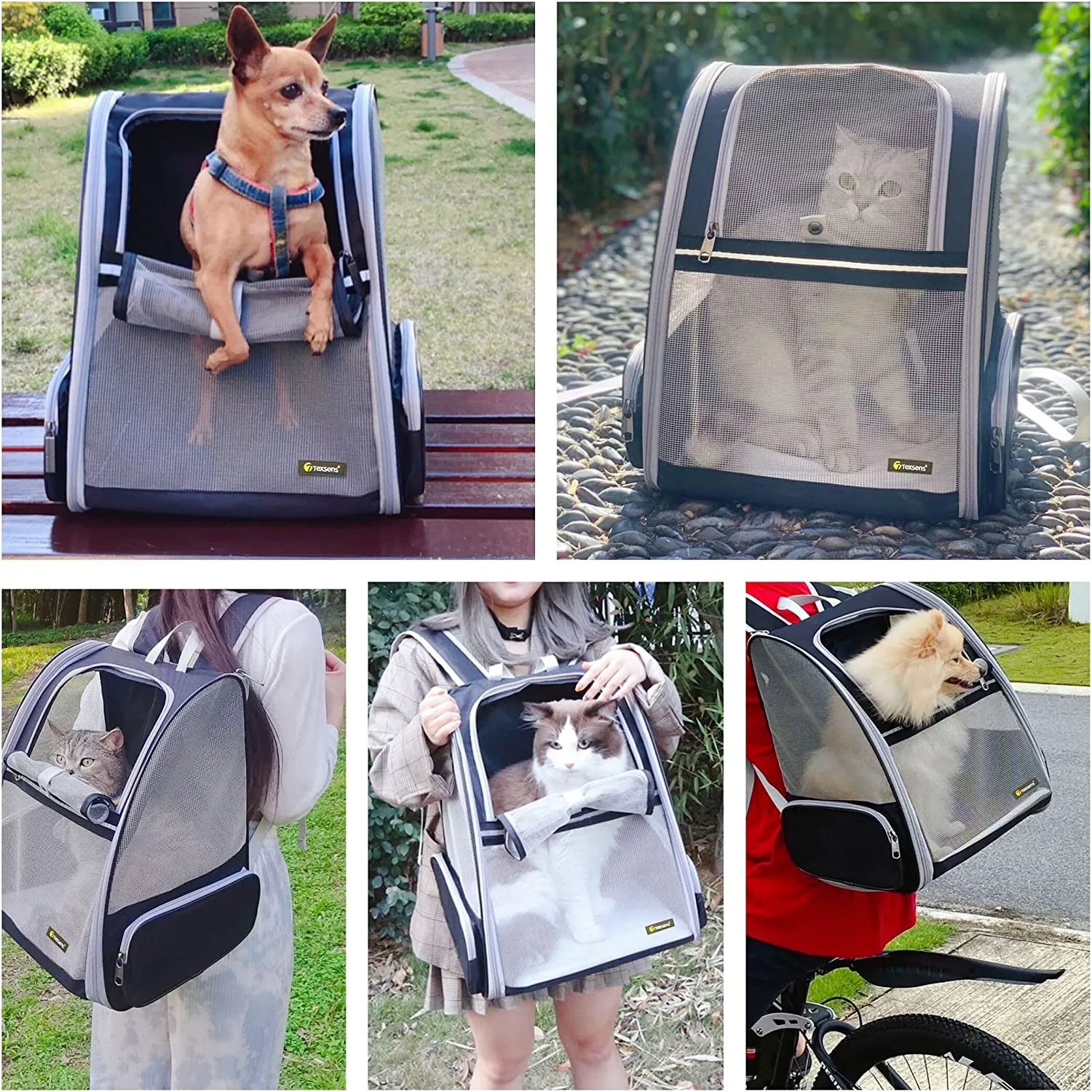 Bubble Backpack Pet Carriers for Cats and Dogs