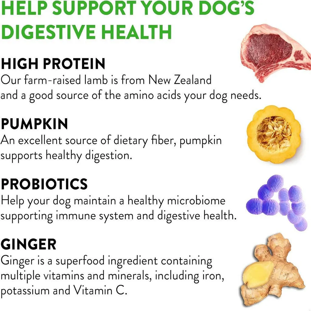 Dogswell Gut Health Mini Jerky Lamb Treats for Dogs 4 oz