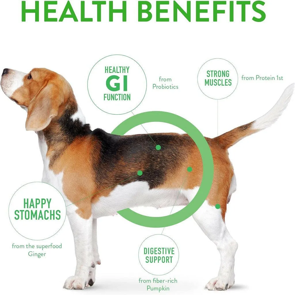 Dogswell Gut Health Mini Jerky Lamb Treats for Dogs 4 oz