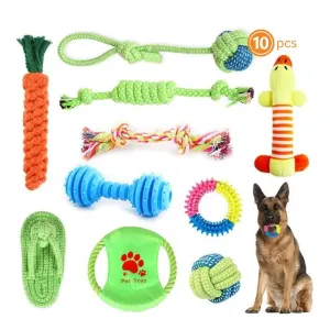 Fast Shipping 10-Piece Bite-Resistant Molar Dog Toys