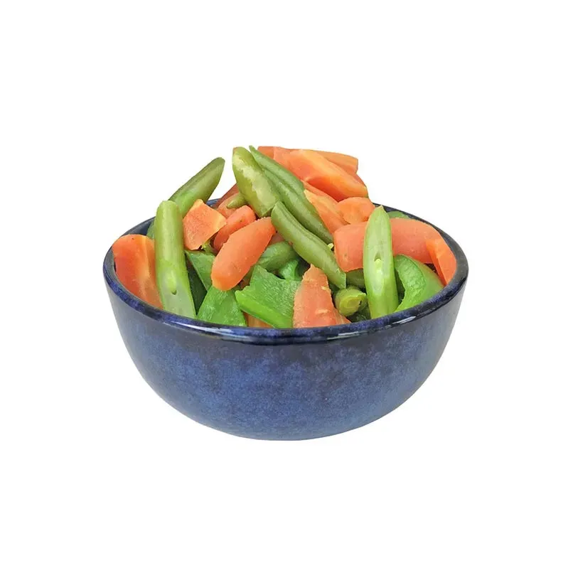 Fernanda Ceramic Bowls for Stylish Dining | Set of 4