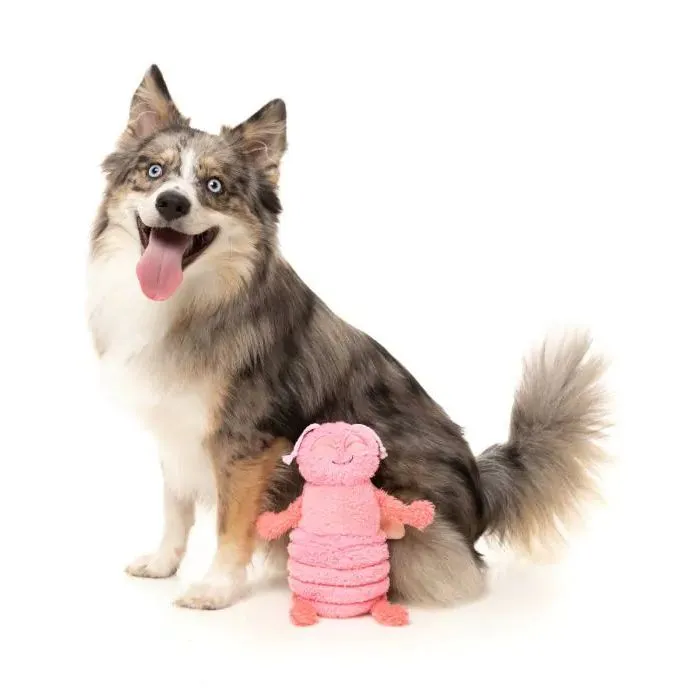 FuzzYard Dog Toy Flutter the Pink Bed Bug