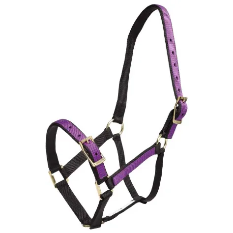 Halter Overlay