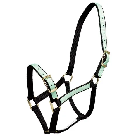Halter Overlay