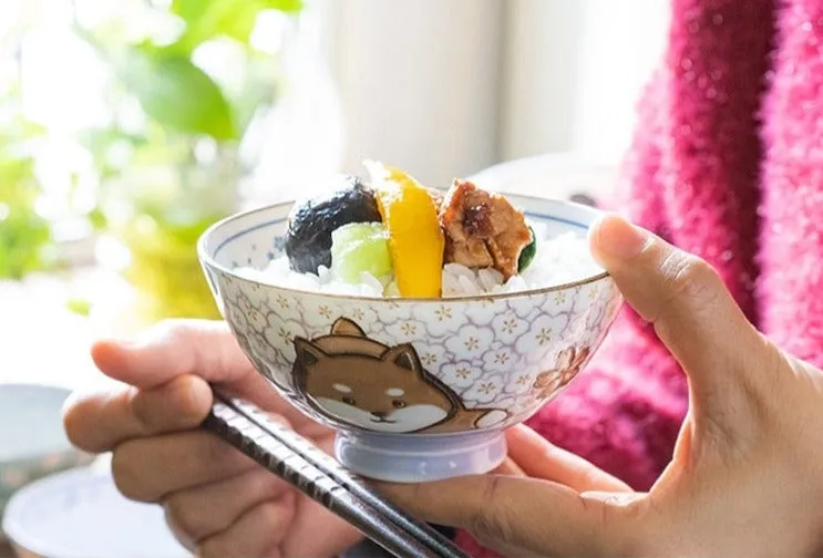 Kawaii Oriental Noodle Bowls