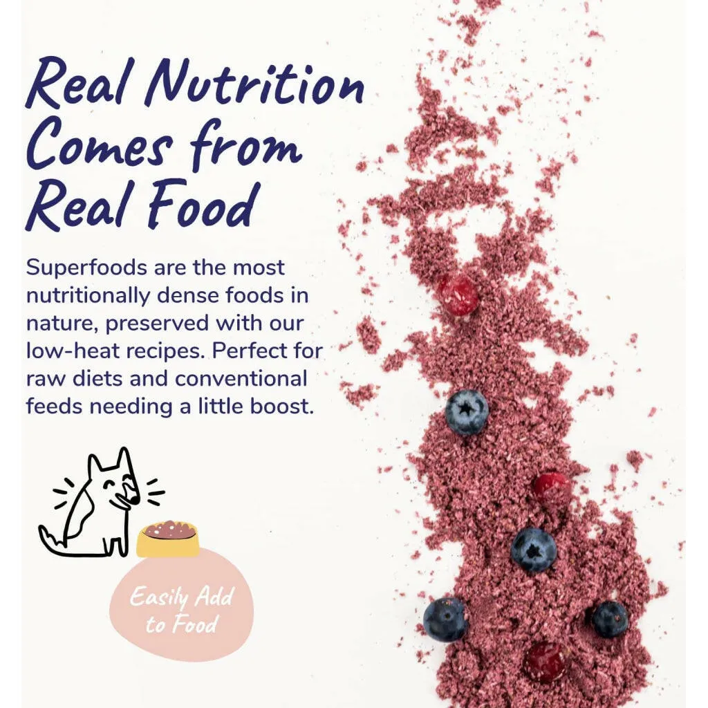 kin kind Organic Healthy Immunity Antioxidant Supplement for Dogs & Cats