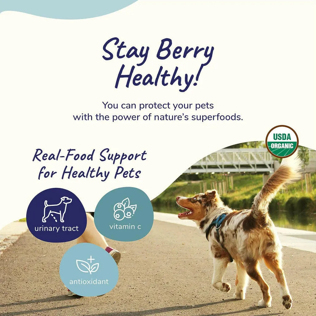 kin kind Organic Healthy Immunity Antioxidant Supplement for Dogs & Cats