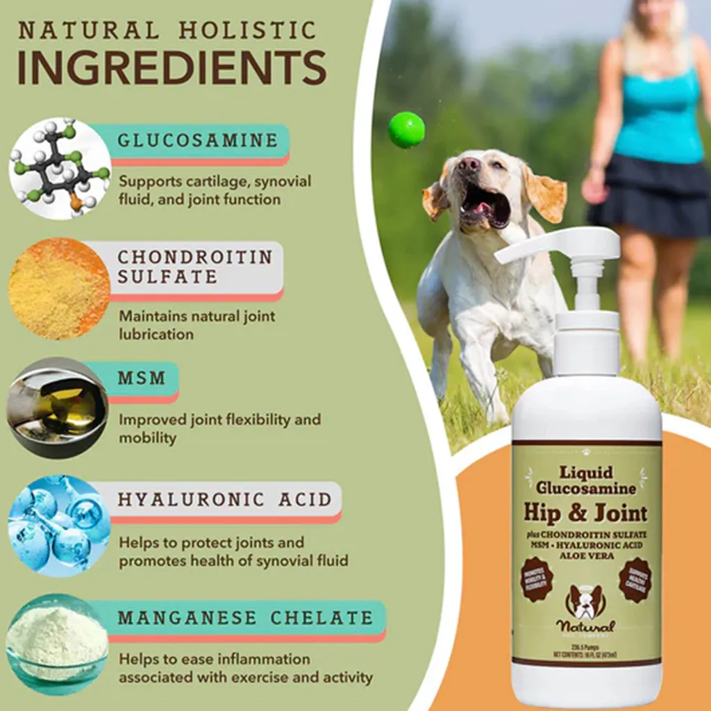 Liquid Glucosamine 16oz