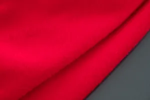 Mustang S550 Car Cover - Indoor