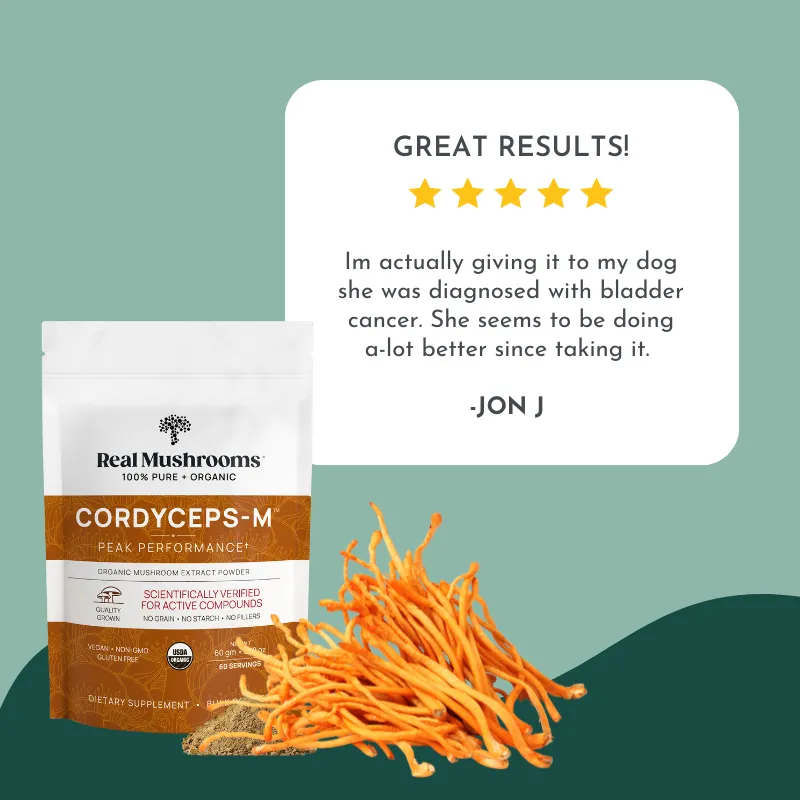 Natural Cancer Comfort Bundle for Dogs and Cats