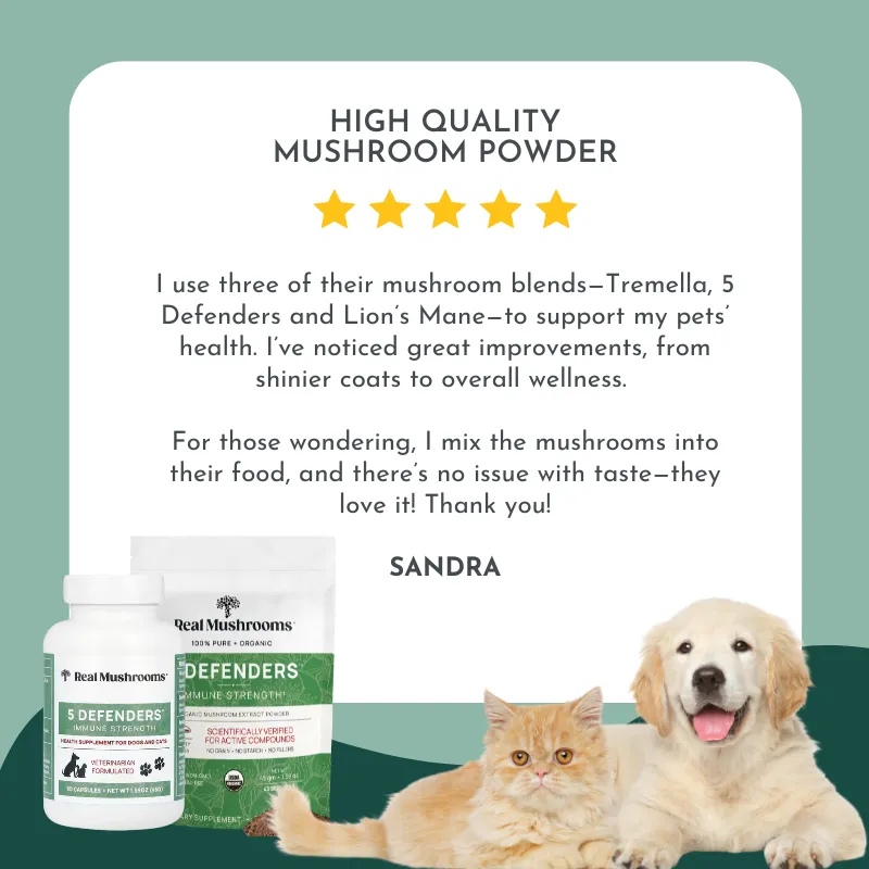 Natural Cancer Comfort Bundle for Dogs and Cats