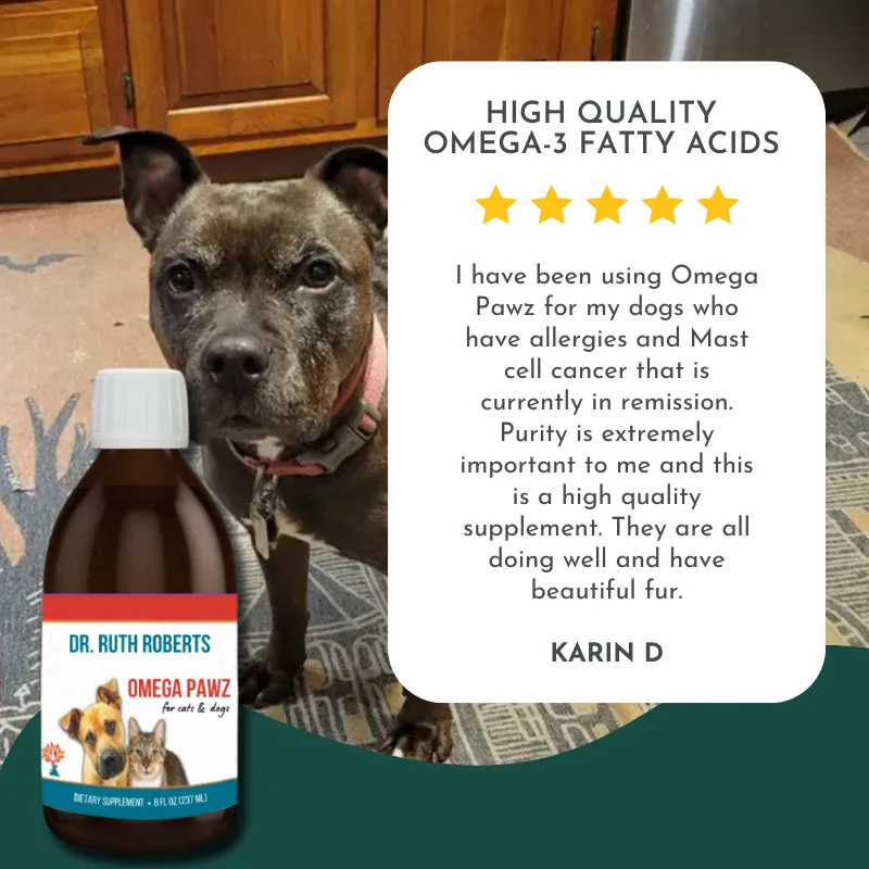 Natural Cancer Comfort Bundle for Dogs and Cats