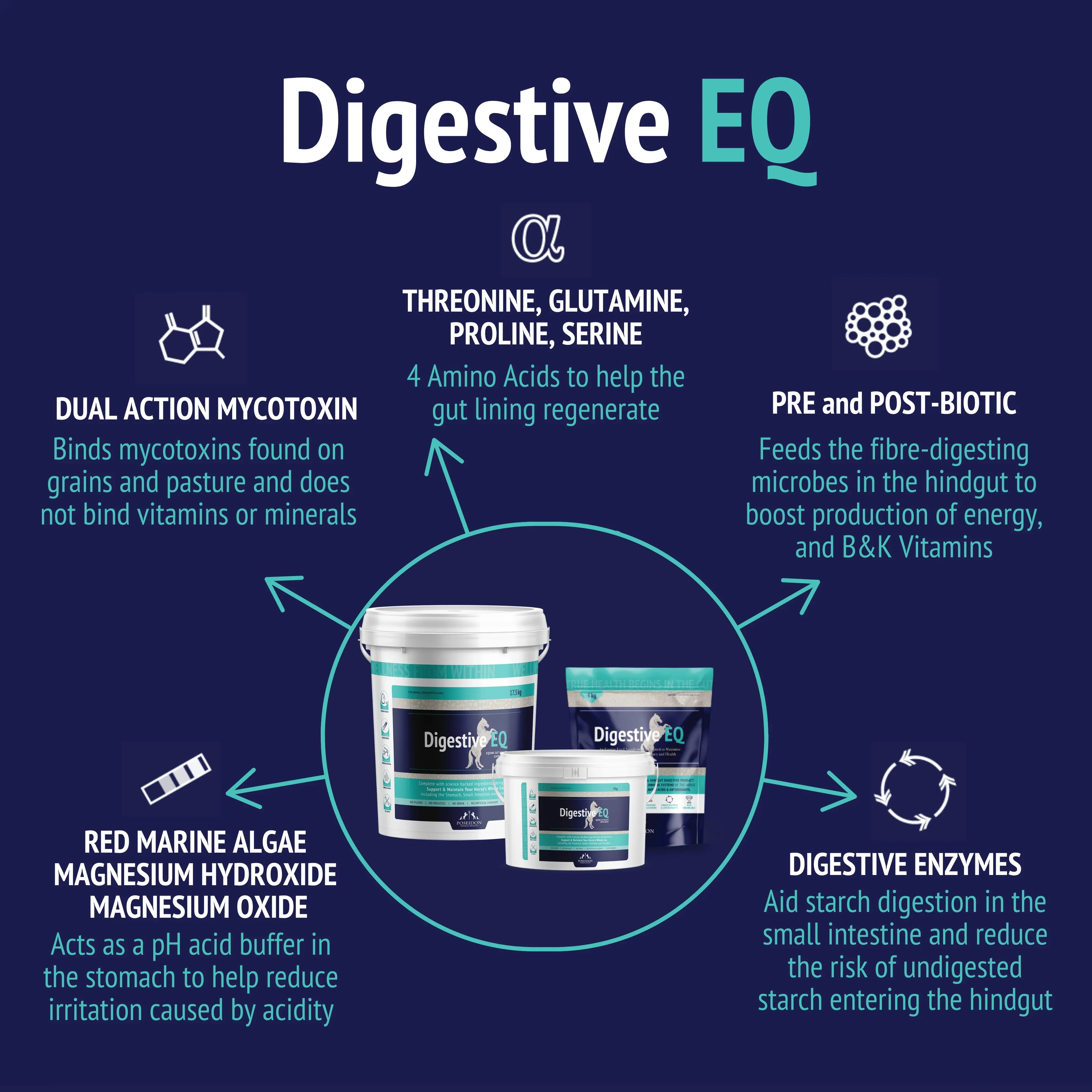 Nutrient & Digestive Support Bundle