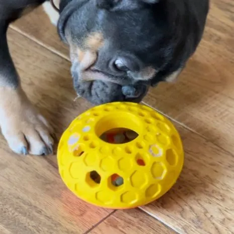 Tall Tails - Natural Rubber Bee Hive Reward Dog Toy